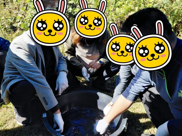 d50c2112873d120607ffb870ad6ddda5_1762080