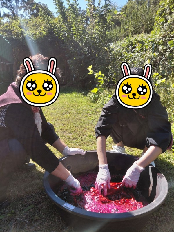 d50c2112873d120607ffb870ad6ddda5_1762080