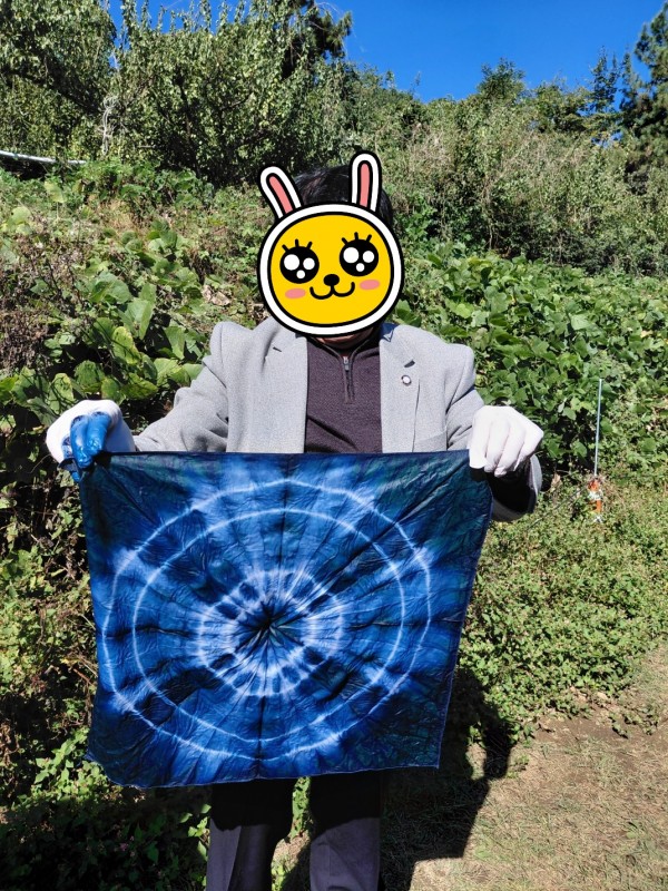 d50c2112873d120607ffb870ad6ddda5_1762080