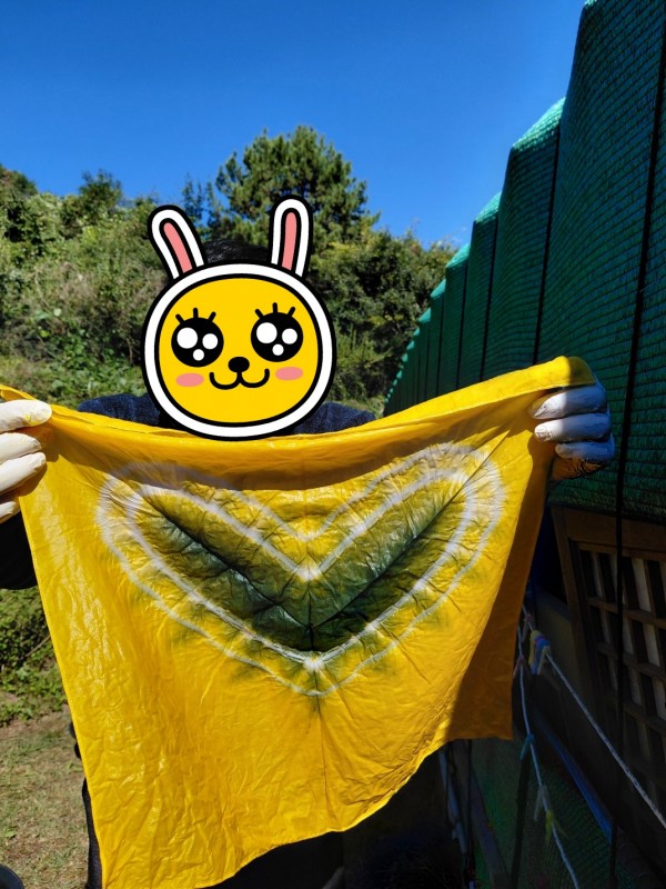 d50c2112873d120607ffb870ad6ddda5_1762080