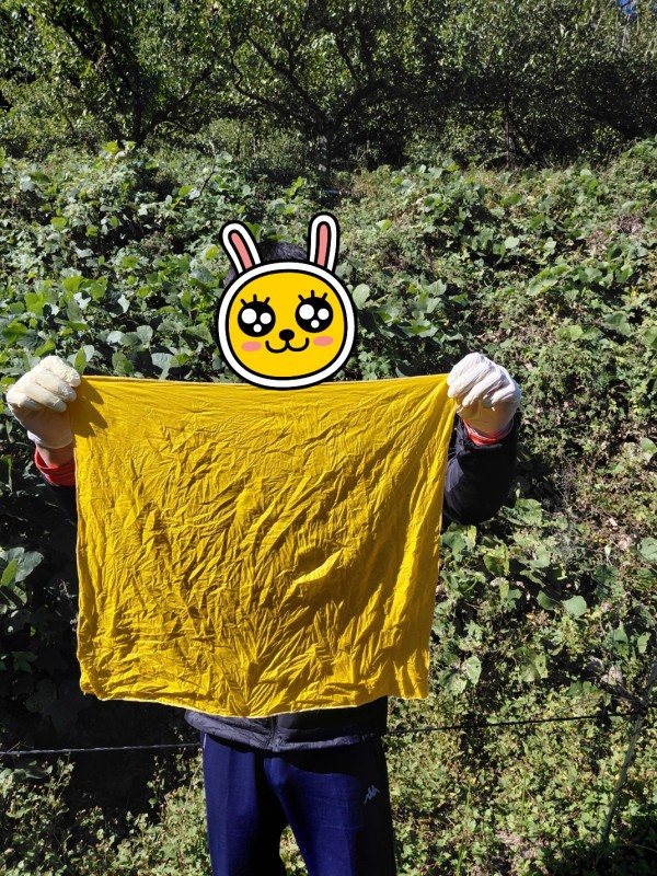 d50c2112873d120607ffb870ad6ddda5_1762080