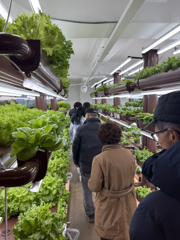 7cee7ddd4afa1bd250b2204e4270a85f_1767055