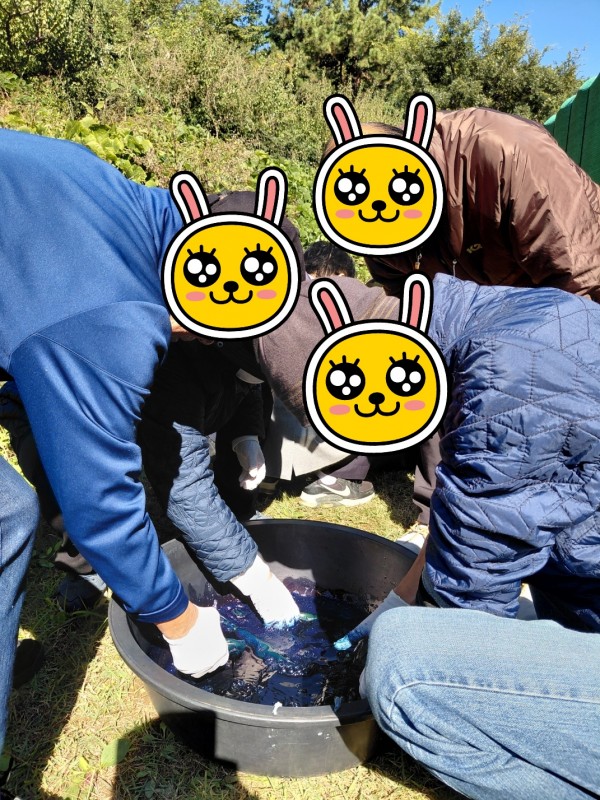 d50c2112873d120607ffb870ad6ddda5_1762080