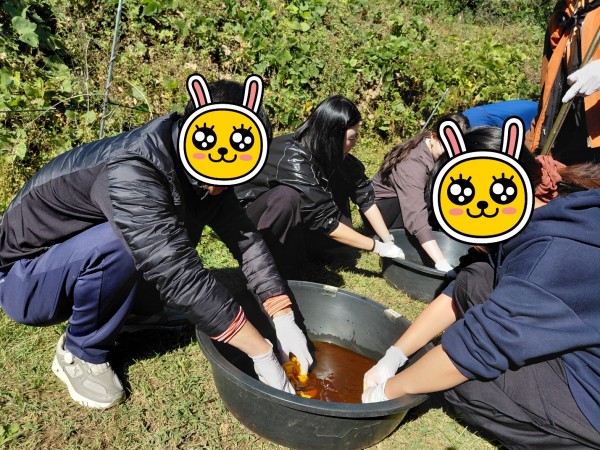 d50c2112873d120607ffb870ad6ddda5_1762080