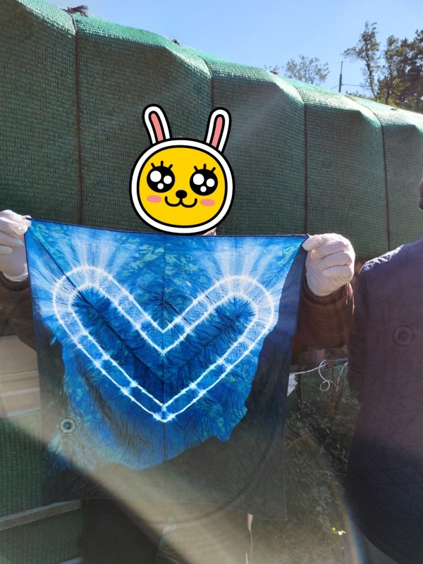 d50c2112873d120607ffb870ad6ddda5_1762080