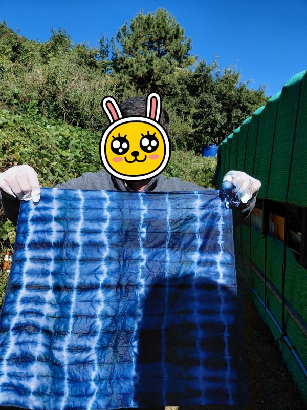 d50c2112873d120607ffb870ad6ddda5_1762080