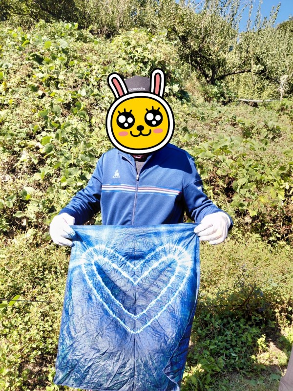 d50c2112873d120607ffb870ad6ddda5_1762080