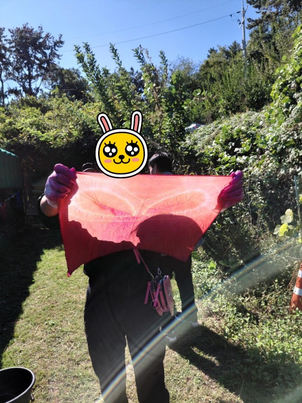 d50c2112873d120607ffb870ad6ddda5_1762080