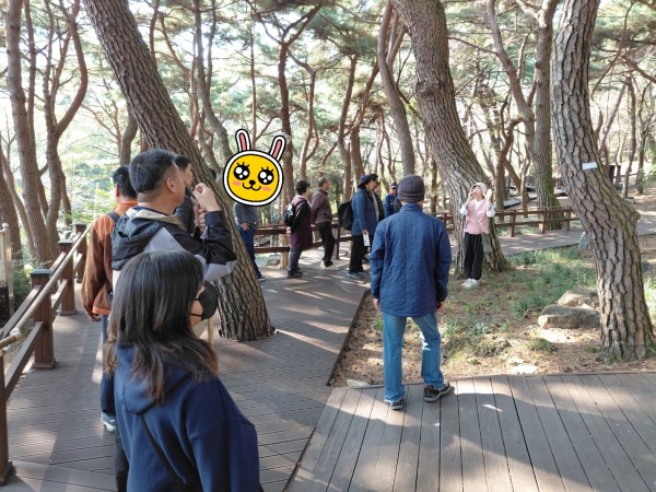 d50c2112873d120607ffb870ad6ddda5_1762080